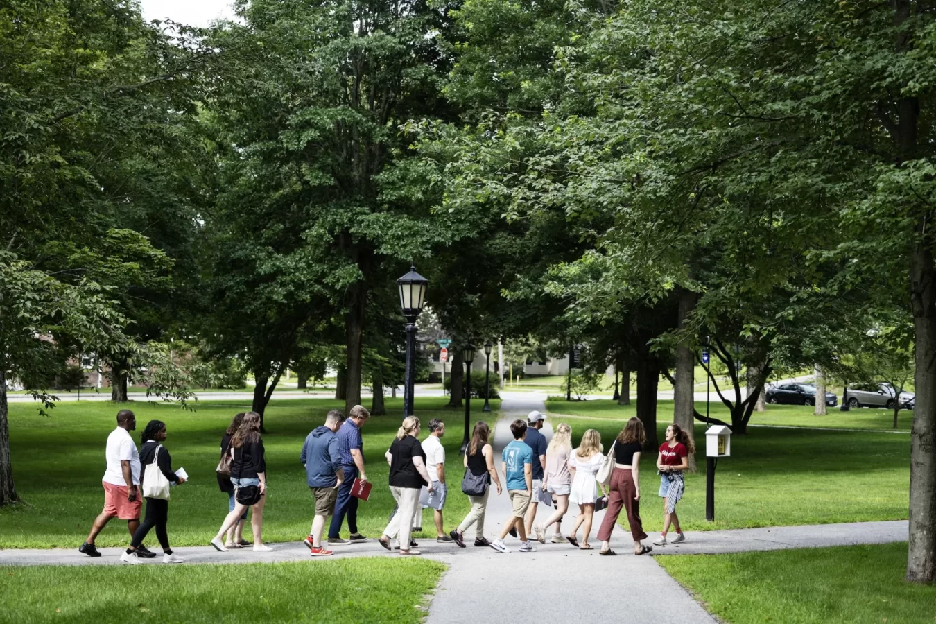 A small group of campus visitors walks across the lush quad on a sunny day, led by a tour guide