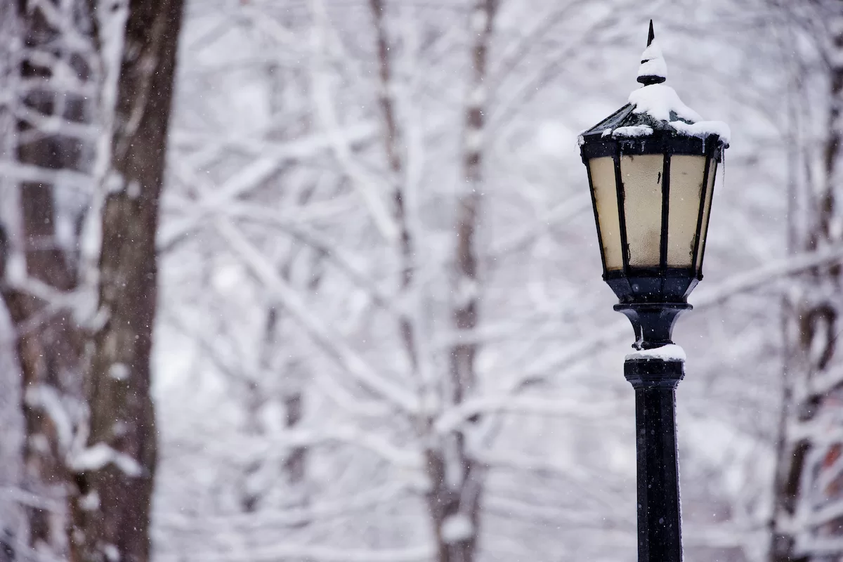 Three inches of snow covers campus in a spring snow storm.