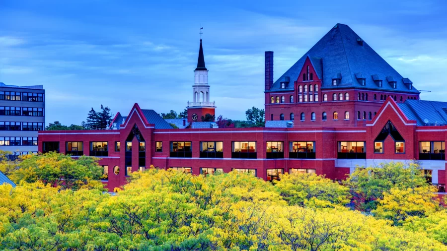 Burlington Skyline