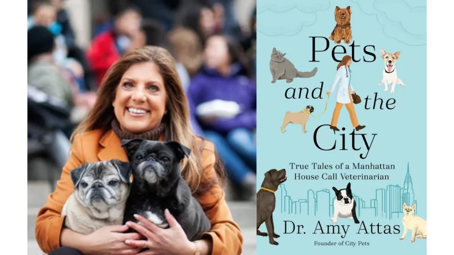 Amy Attas author of Pets and the City