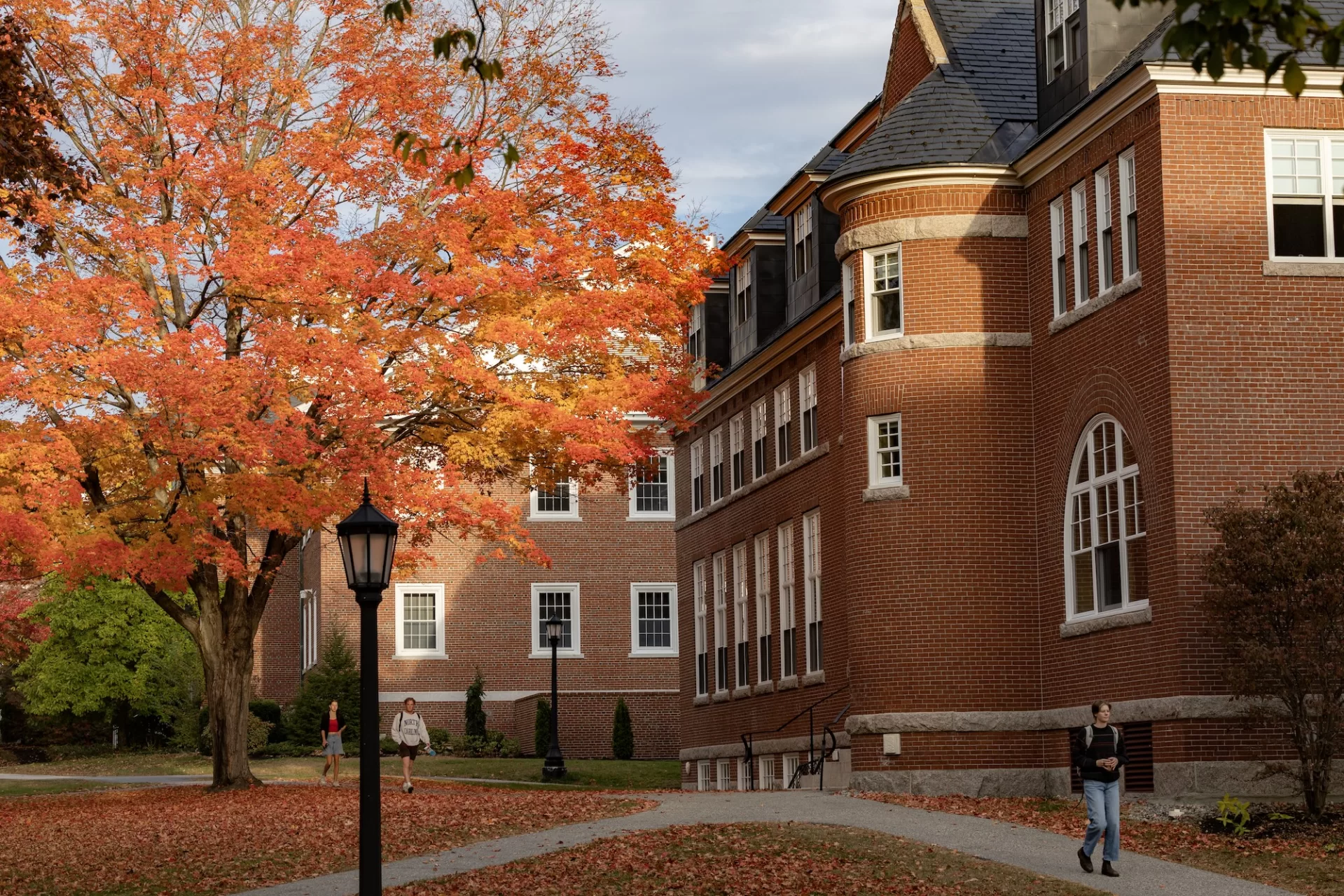 Scenes from campus (including the maple tree outside of Hedge) on the morning of Oct. 21, 2024.