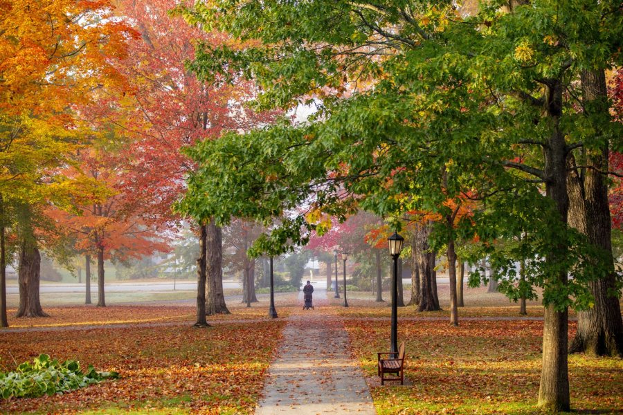 Campus during the early morning of Oct. 18, 2020.The Historic Quad