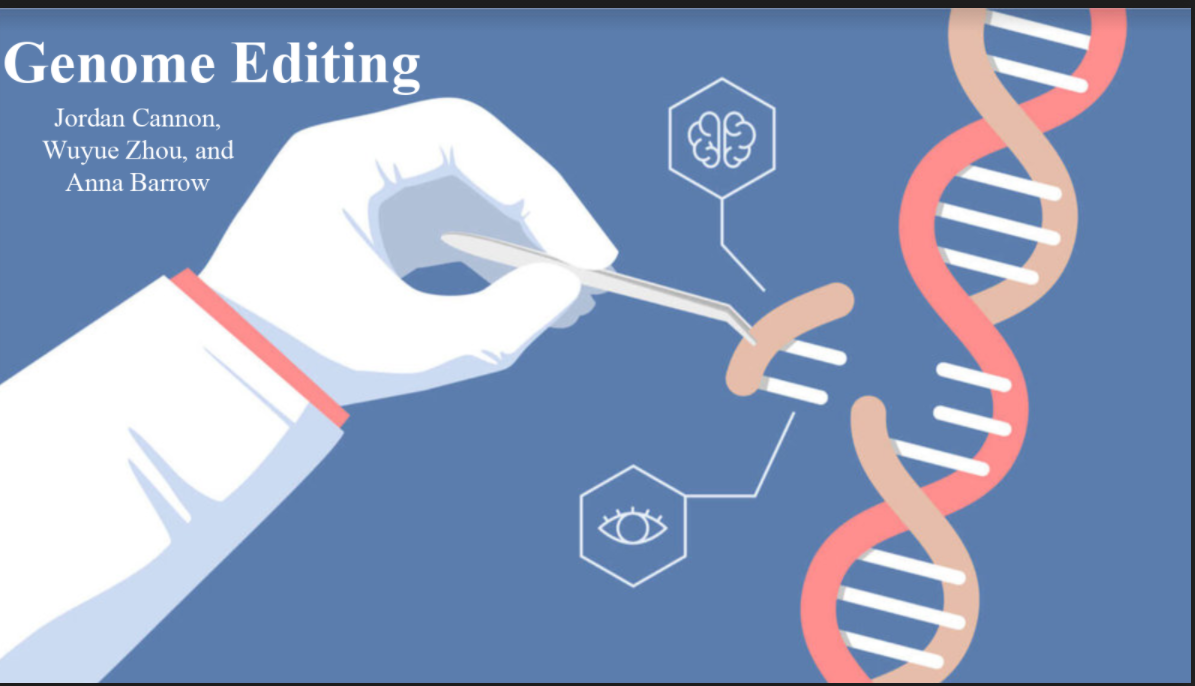 phd genome editing