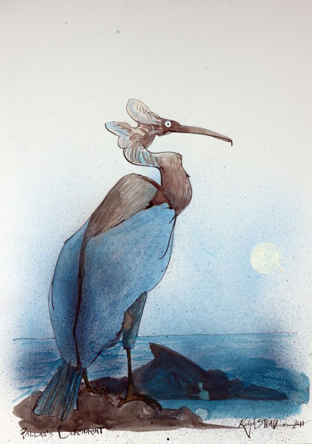 Ralph Steadman, Extinct Boids – Pallas Cormorant, ink on paper, 35.25 x 24.5 inches