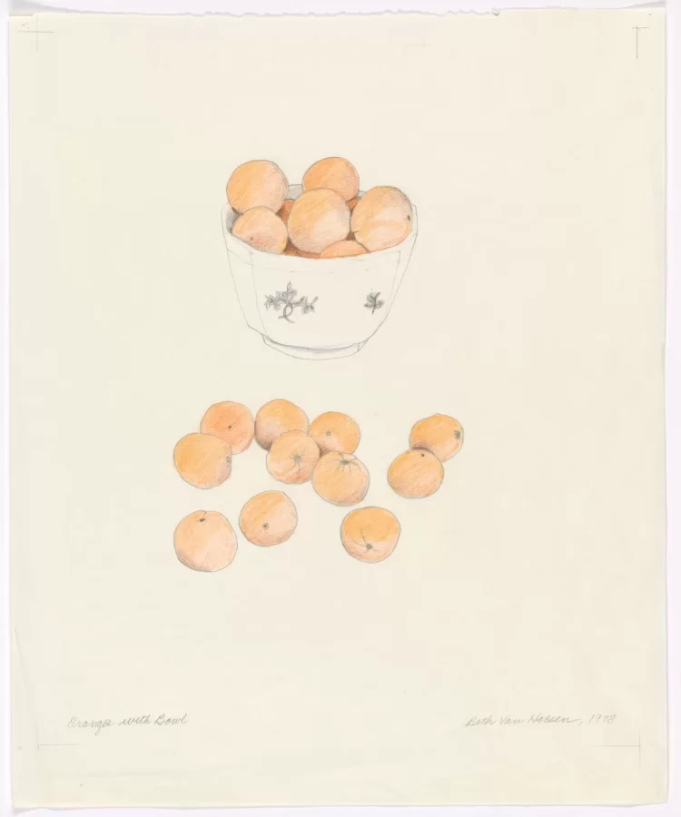 Beth Van Hoesen, 20 Oranges with Bowl, 1978, graphite and colored pencil on paper, Bates College Museum of Art, gift from the E. Mark Adam and Beth Van Hoesen Adams Trust, 2012.20.1