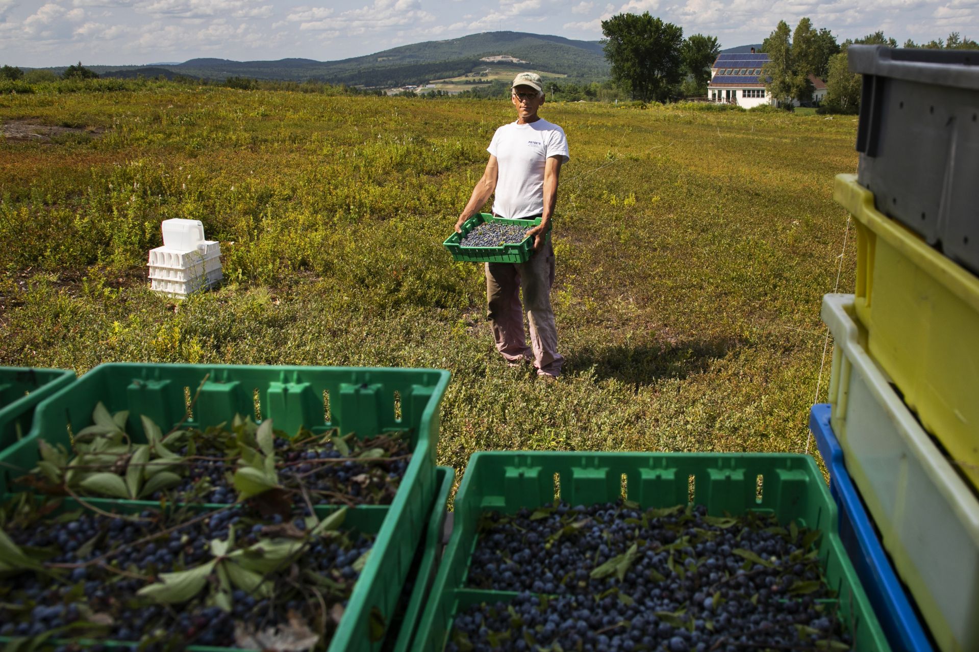 The Blueberry Files: Farmers' Market Partnership and New Ball