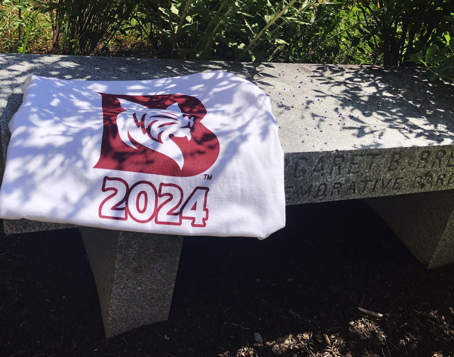 Numbers, facts, and insights about the Class of 2024 News Bates College