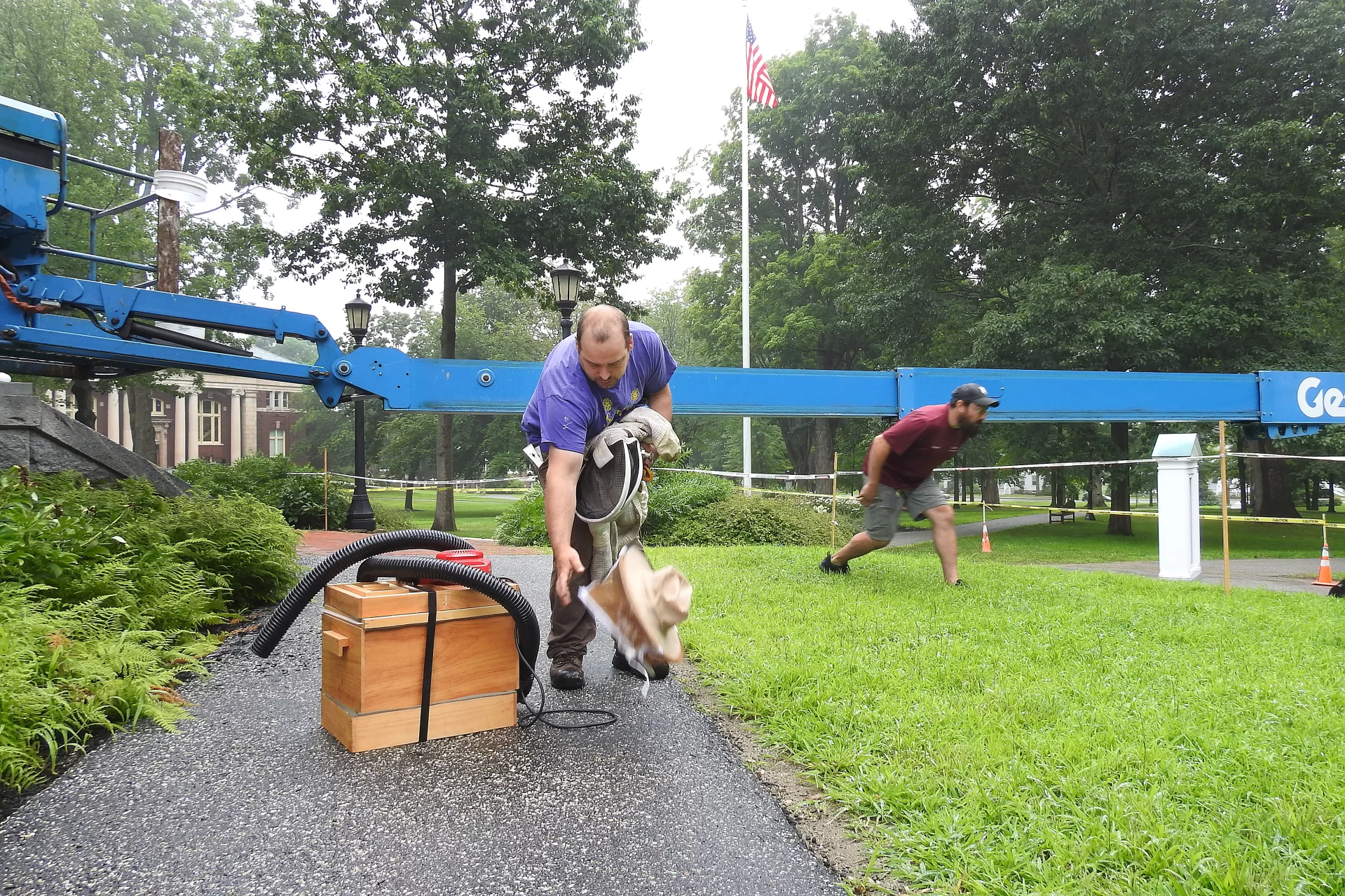 Brian Mason of Spicer Bees (purple shirt) removes a big honeybee hive from the college's oldest building, Hathorn Hall, on July 25, 2024.

Discovered by a work crew painting the Hathorn trim, the hive was in a section of the soffit of the Hathorn portico, where the roof joins the main part of the building. 

Lifted to the second-story location by a Genie boom lift, Mason and Bates carpenter Matt Capone, with beard, worked together, the latter using a multitool and pry tools to remove trim to get at the hive, and the former using a homemade vacuum and hive tools to remove the bees and comb, relocating as much of the hive as possible to his apiary in Whitefield. 

Mason, who estimated the hive at upwards of 50,000 bees, gives credit to Bates for calling in a beekeeper for the project. "100 percent credit," he says, noting that the Bates hive was not only healthy but had apparently survived for at least one winter, if not more. Most wild honeybee hives die each winter, and commercially maintained hives typically rely on treatments to control mites.

"Less human intervention is always valuable. The fact that this hive wintered without intervention means the bees might just have something going for them to survive. So now I can introduce the Bates bees into my apiary. That’s a win."