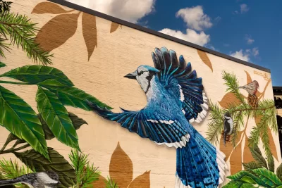 bluejay mural