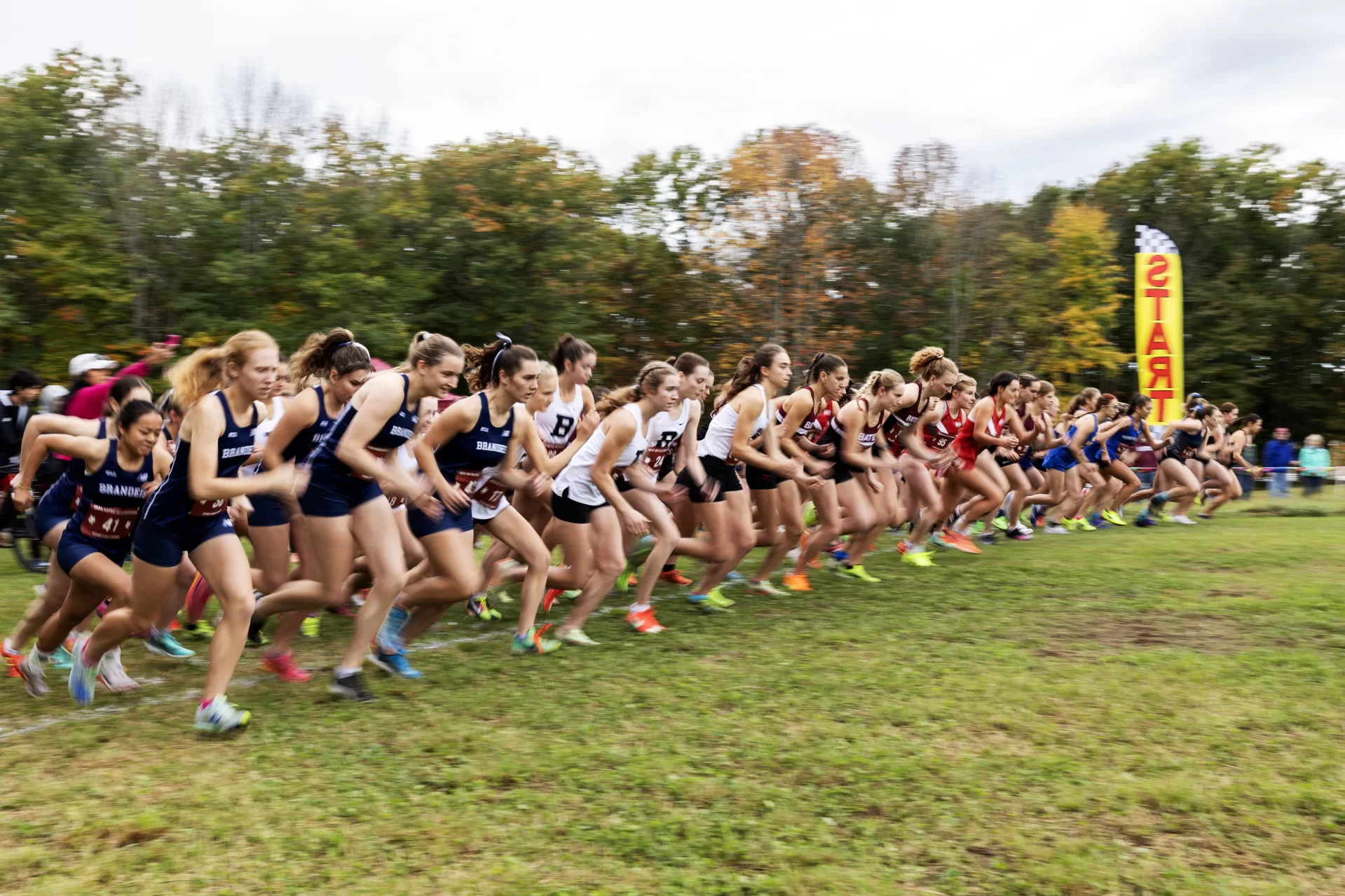 Bates Invitational at Pineland Farms in New Gloucester on October 5, 2024. (Theophil Syslo | Bates College)