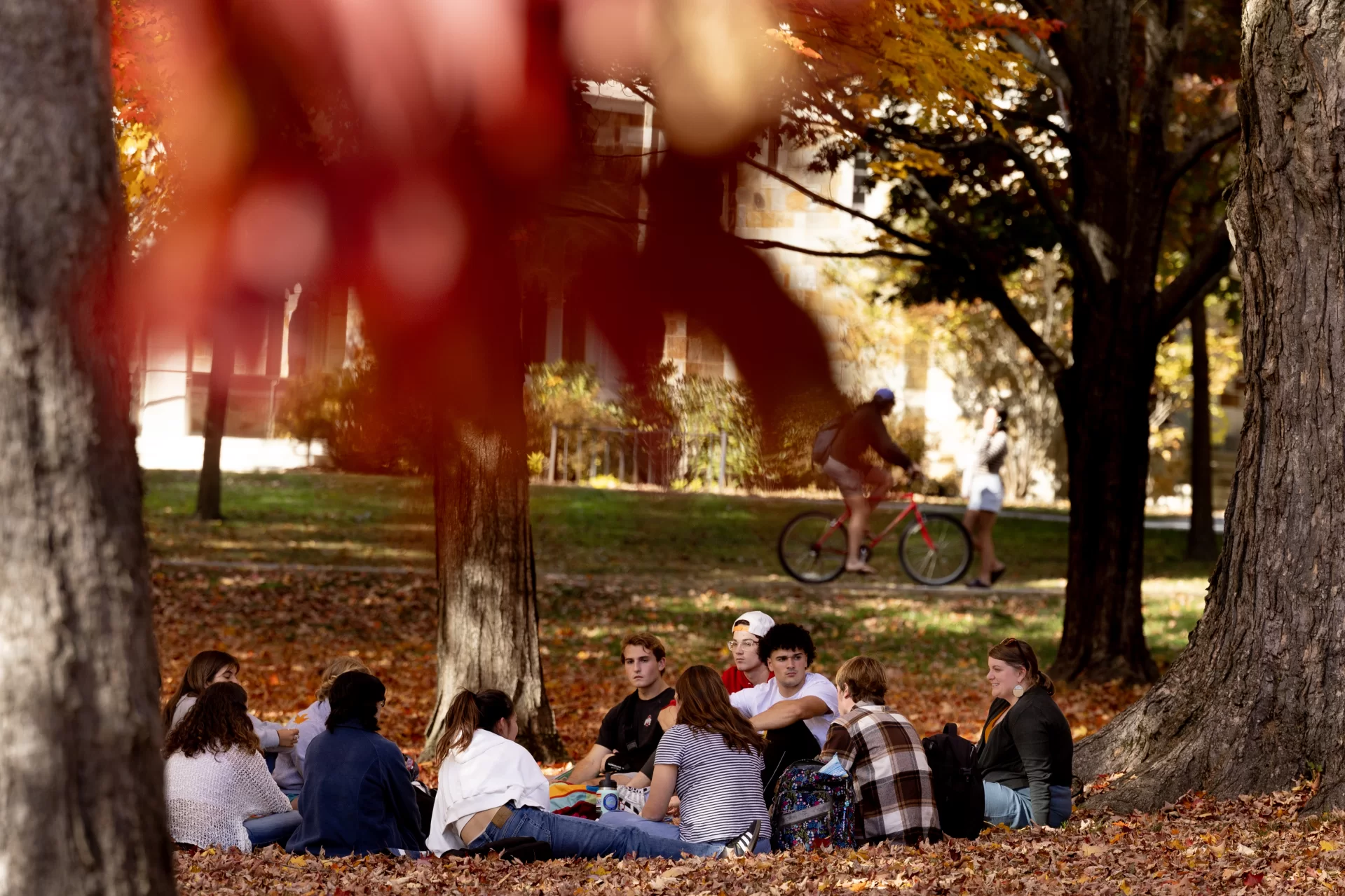 A first-year seminar meets outdoors on the Historic Quad.