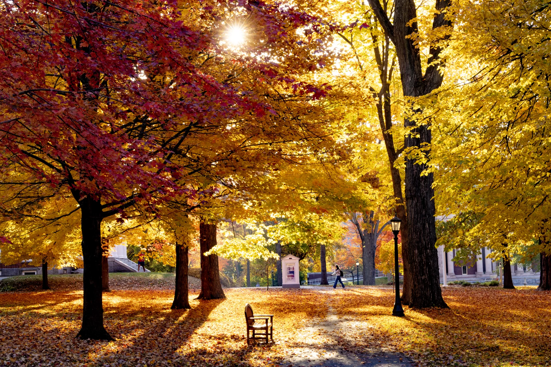 The sun rises over fall foliage on the Historic Quad.