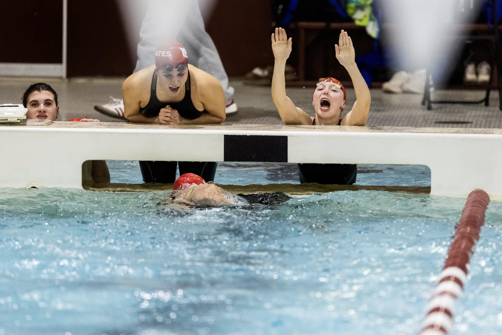 Bates College Swimming and Diving host the CBB Meet on February 1, 205. (Theophil Syslo | Bates College)