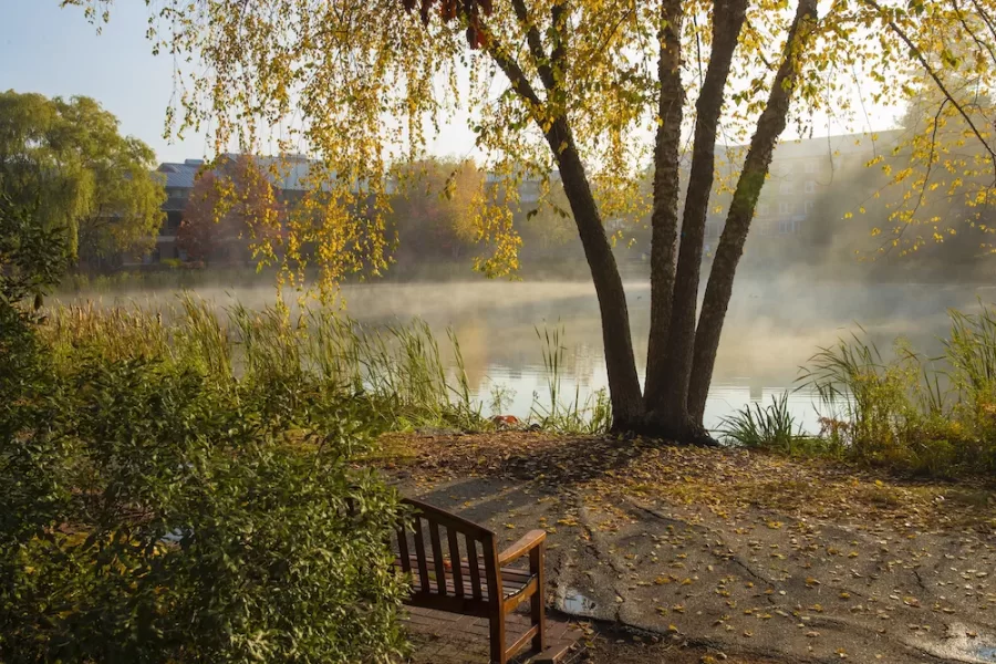 Campus during the early morning of Oct. 18, 2020. Lake Andrews, aka the Puddle